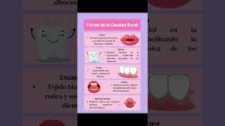 quot¿Conoces las Partes de la Cavidad Bucal 🦷  Play Quiz de Enfermeríaquot playquizenfermería salud [upl. by Trocki]