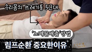 몸에쌓인 노폐물배출 방법 위치 필요성 림프순환 혈자리 마사지 [upl. by Lehcar]