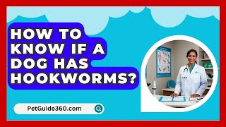 How To Know If A Dog Has Hookworms  PetGuide360com [upl. by Ostler]