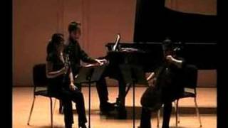 Beethoven Clarinet Trio Op 11 mvt 2 [upl. by Aridan100]