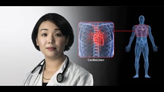 Dr Kanae Mukai  Auto Scan Assist CardioLine  Productivity [upl. by Eiliak]