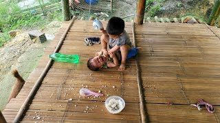 Go harvest herbs to sell for money to buy rice to cook porridge for my younger sibling [upl. by Artemus]