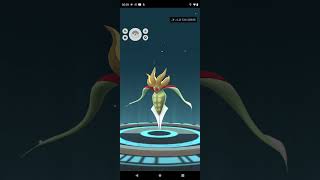 Evolve shiny inkay in pokémon go 👍 [upl. by Cheffetz628]