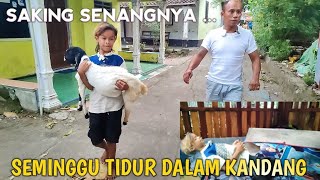 GANTHOL WOKO CHANNEL SENENG BANGET KAMBINGNYA DATANG🔥🔥 [upl. by Fayina]