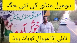 New Domail Mandi Location Visit  Tahli Adda Mirwaal Kohat Road  Eid ul Azha Fun [upl. by Notniuqal]