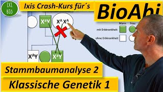 Klassische Genetik 2 Stammbaumanalyse 2  Genotypen begründen bei Xchromosomal rezessiven Erbgängen [upl. by Scammon]