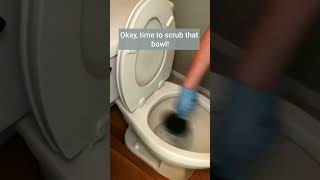 Heres A Great Way to Clean Toilets cleaningtips toiletcleaner cleaningmotivation [upl. by Raffo]