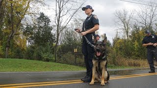 Police Dog Training your best friend [upl. by Yarak]