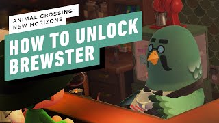 Animal Crossing New Horizons Guide  How to Get Brewster in ACNH 20 [upl. by Yrellav]