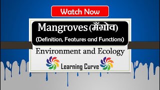 Mangrove Forest UPSC  Mangrove Vegetation  मैन्ग्रोव वन  Ecology  Explained  In Hindi [upl. by Chariot]