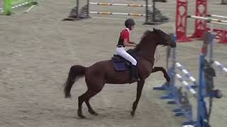 Horse FAILS amp FALLS 2018  Equi Rider [upl. by Isahella]