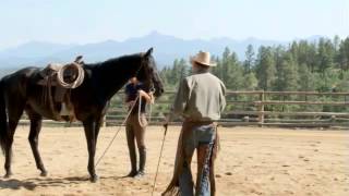 How to Use Spurs on Your Horse with Pat Parelli [upl. by Bekha151]