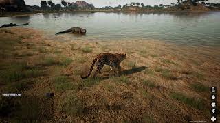 Animalia Survival Leopard Hunts Crocodile [upl. by Arikaahs]