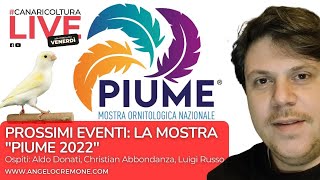 La mostra ornitologica Piume 2022 [upl. by Elatnahs]