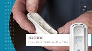 EN How to run an IDEXX Dairy SNAP Test [upl. by Emogene]