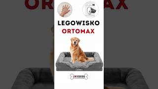 🔥🔥🔥Prezentujemy z dumą nasz nowy model legowiska Ortomax 🔥Legowisko ortopedyczne dla dużego psa 🐕‍🦺 [upl. by Deina519]