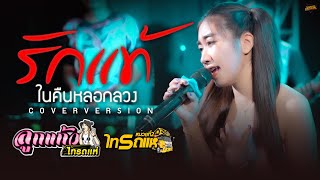 เพราะมาก รักแท้ในคืนหลอกลวง  วิทลัยหลายใจ  ก็ยังคิดถึง  Cover ลูกแก้ว ไทรถแห่「LIVE SESSION」 [upl. by Retniw]