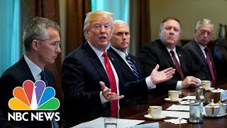 President Donald Trump Says ‘Animals’ Remark Referred To MS13 Gang Members  NBC News [upl. by Paik]