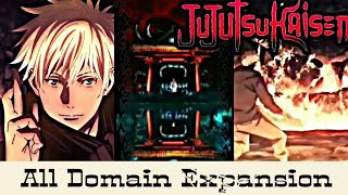 Jujutsu Kaisen All Domain Expansion Ryōiki Tenkai [upl. by Eta]