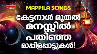 Mappilapattukal  Mappila Pattukal Malayalam  Malayalam Mappila Songs  Old Mappilappattukal [upl. by Eceerehs]