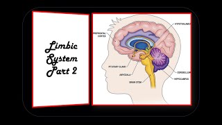 LIMBIC SYSTEM PART 2 [upl. by Anitsihc]