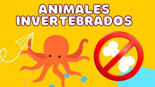 Animales Invertebrados para niños  Videos EDUCATIVOS clasificación [upl. by Tsuda]