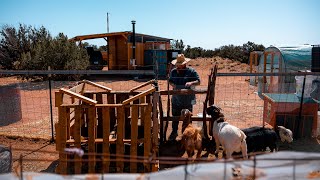 Tour of an Off Grid Homestead  PARAGRAPHIC Origins [upl. by Ahsoyem]