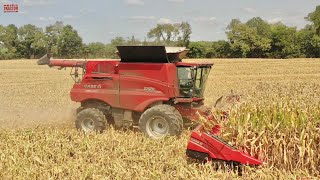 FIRST DAY of Corn Harvest 2021  CASE IH 9250 Combines [upl. by Livvy]