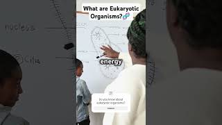 What are Eukaryotic Organisms 🧬 trendingvideos ecoconservation science GCSE NCERT trending [upl. by Assena]