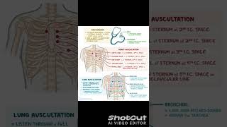 Auscultation Nursingeducationland auscultationheartnursingsoundslungsstethoscopebreathing [upl. by Aip]