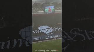 Freiburg mit Choreo gegen Mainz [upl. by Adelaida]