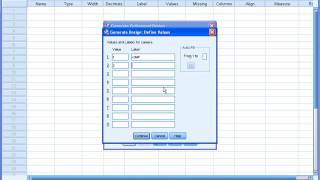 Conjoint Analysis in SPSS [upl. by Aymahs]