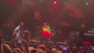 Alborosie Live San Foca 23082017 Pt 22 [upl. by Enila359]