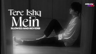 Tere Ishq Mein Slowed And Reverb  Insane Ashraf [upl. by Elinnet53]