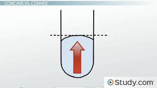 What Is a Meniscus Definition Uses amp Lab Examples Video amp Lesson Transcript Study com [upl. by Koral800]