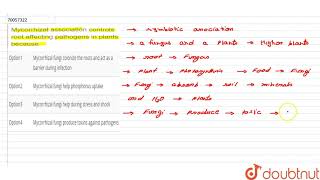Mycorrhizal association controls root affecting pathogens in plants because [upl. by Grondin656]