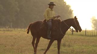 2018 AQHA International Best Remuda Award – La Media Suerte [upl. by Opal]