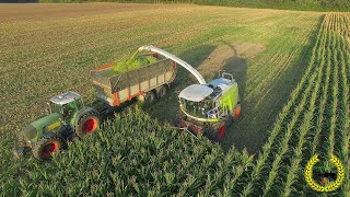 Maisernte 2018  Claas Jaguar 970  Kemper 390  LU Carsten Walkling [upl. by Nylaras838]