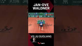 Legend Waldner [upl. by Briana]