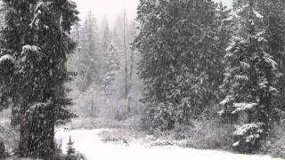 Fast Falling Snow 1080p Hd Without Music [upl. by Fisa781]