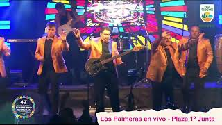 Los Palmeras en Vivo [upl. by Lohse]