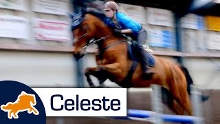 VOORSTELLEN ► Celeste met Arrow [upl. by Akamaozu233]