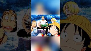 The SURNAMES of the STRAWHATS shorts onepiece anime ytshorts viralvideo [upl. by Gnilrad]