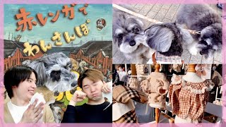 🐶【わんさんぽ】赤レンガの犬イベントはやっぱり凄かった❗️Withりゅうがくん [upl. by Sigler348]