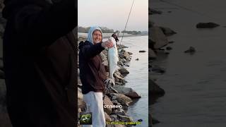 fishing khv рыбалка amur reels хабаровск top like follow [upl. by Breh]