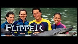 Flipper  Serie 1  Episodio 1  Un inizio avventuroso [upl. by Beeck]