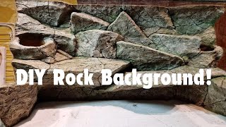 Rock Wall Terrarium Background [upl. by Koppel919]