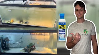 Easily Fixing A Cloudy Aquarium API Accu Clear Water Clarifier Review [upl. by Yarled]