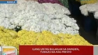 UB Tips para tumagal ang bulaklak [upl. by Annodam708]