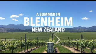 A Summer in Blenheim New Zealand [upl. by Ralli58]